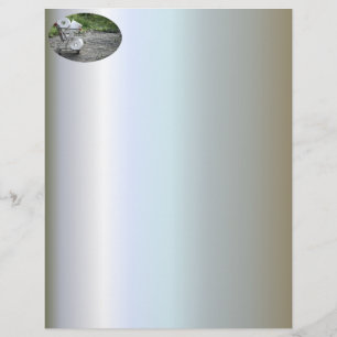 Beschermingsmasker voor het Corona-virus