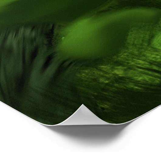 beschilderd Oerwoud Poster (Hoek)