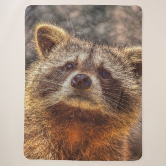 beschilderd Raccoon Sherpa Deken (Voorkant)