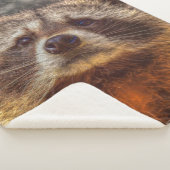 beschilderd Raccoon Sherpa Deken (3/4)