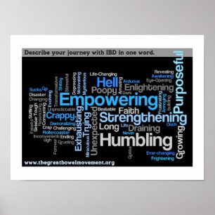 "Beschrijf uw IBD" Word Cloud Poster