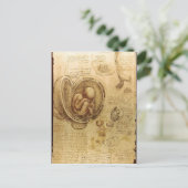 Beschrijving Studies over Embryos Leonardo da Vinc Briefkaart (Staand voorkant)