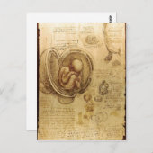 Beschrijving Studies over Embryos Leonardo da Vinc Briefkaart (Voorkant / Achterkant)