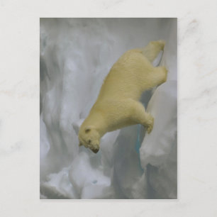 Beschrijving Ursus maritimus op zee ijs dicht bij  Briefkaart