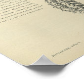 Beschrijving van de wervelkolom poster (Hoek)