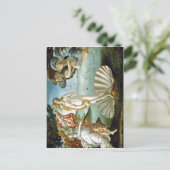 Beschrijving w:Botticelli De geboorte van Venus Da Briefkaart (Staand voorkant)