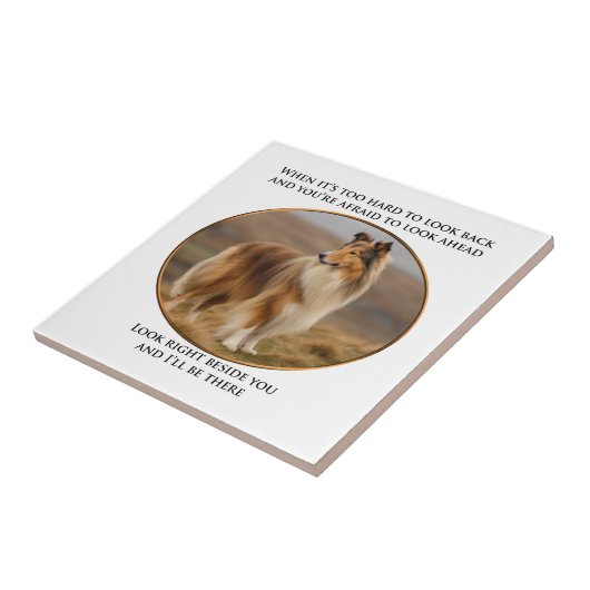 Beside You Collie Tegeltje (Zijkant)