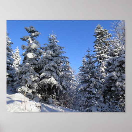 Beskids Winter Poster (Voorkant)