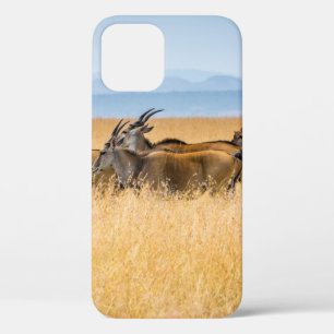 BESLAG VAN ANTELOPEN OP HET GRASGEBIED Case-Mate iPhone CASE