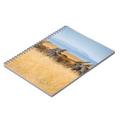 BESLAG VAN ANTELOPEN OP HET GRASGEBIED NOTITIEBOEK (Linkerzijde)