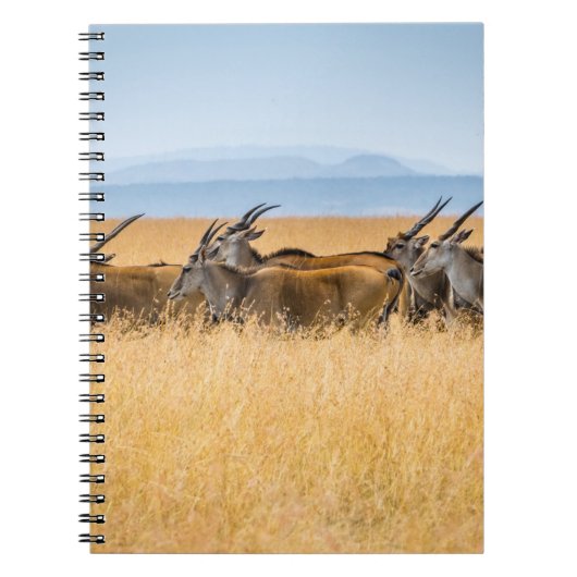BESLAG VAN ANTELOPEN OP HET GRASGEBIED NOTITIEBOEK (Voorkant)
