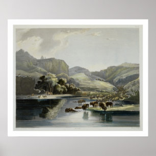 Beslagen van Bison en Elk op de Upper Missouri, pl Poster