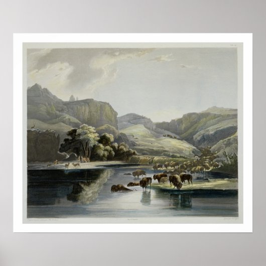 Beslagen van Bison en Elk op de Upper Missouri, pl Poster (Voorkant)