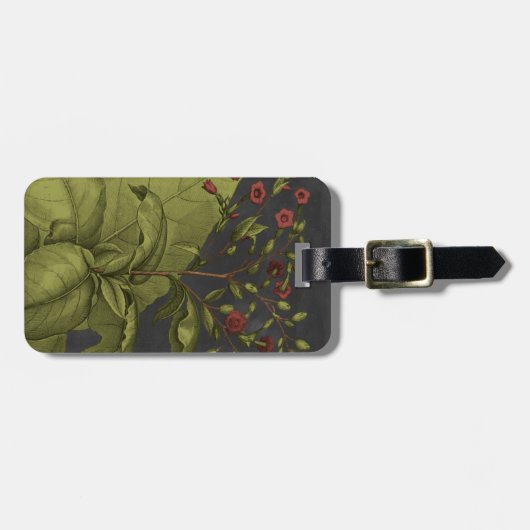 Besler Dramatique I Bagagelabel (Voorkant horizontaal)