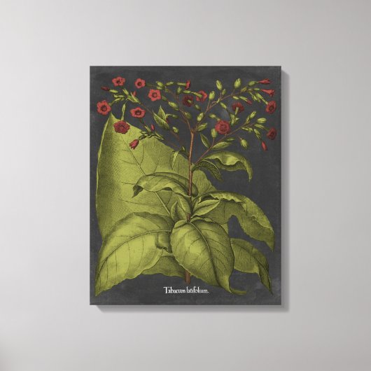 Besler Dramatique I Canvas Afdruk (Voorkant)