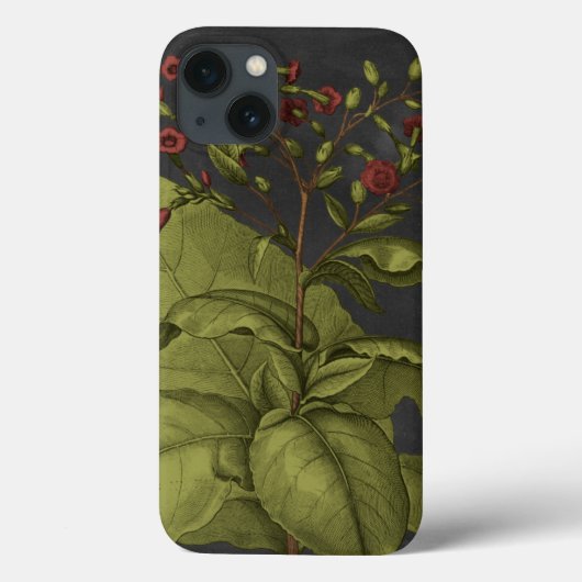 Besler Dramatique I Case-Mate iPhone Case (Achterkant)