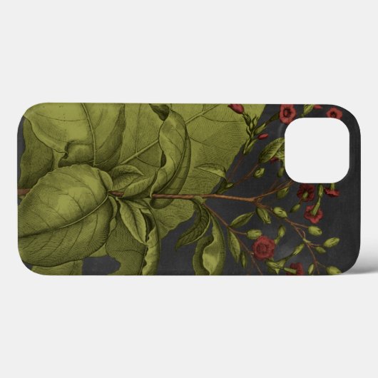 Besler Dramatique I Case-Mate iPhone Case (Achterkant (horizontaal))