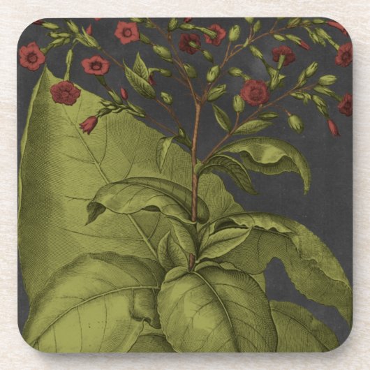 Besler Dramatique I Drankjes Onderzetter (Voorkant)