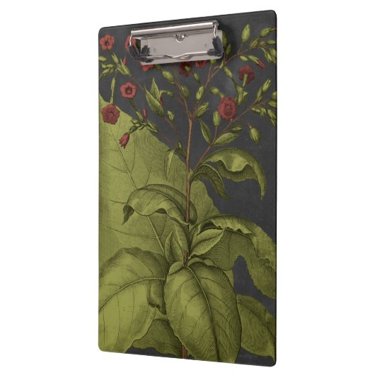 Besler Dramatique I Klembord (Links)