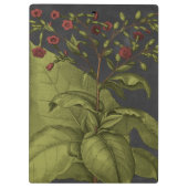 Besler Dramatique I Klembord (Achterkant)