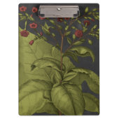 Besler Dramatique I Klembord (Voorkant)