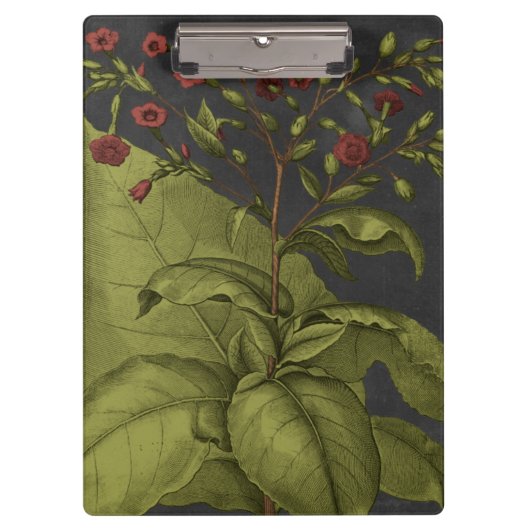 Besler Dramatique I Klembord (Voorkant)