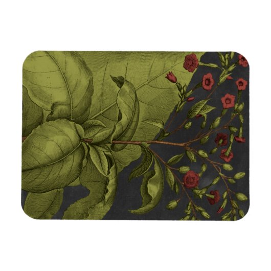 Besler Dramatique I Magneet (Horizontaal)