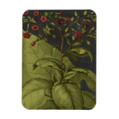 Besler Dramatique I Magneet (Verticaal)