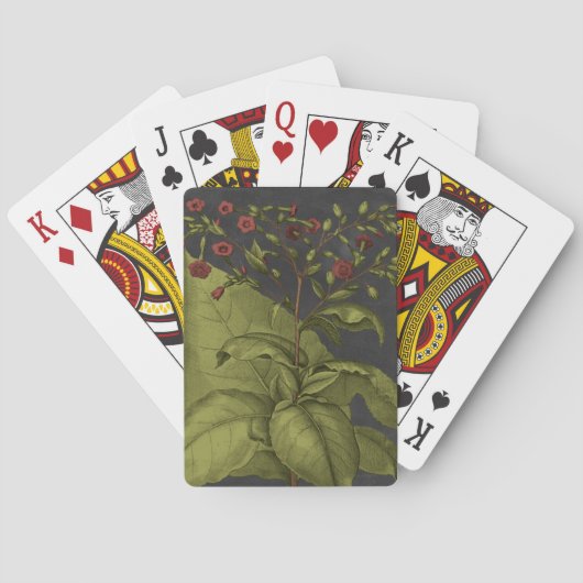 Besler Dramatique I Pokerkaarten (Achterkant)