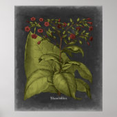 Besler Dramatique I Poster (Voorkant)