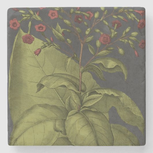 Besler Dramatique I Stenen Onderzetter (Voorkant)