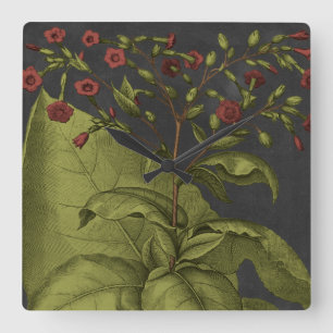 Besler Dramatique I Vierkante Klok