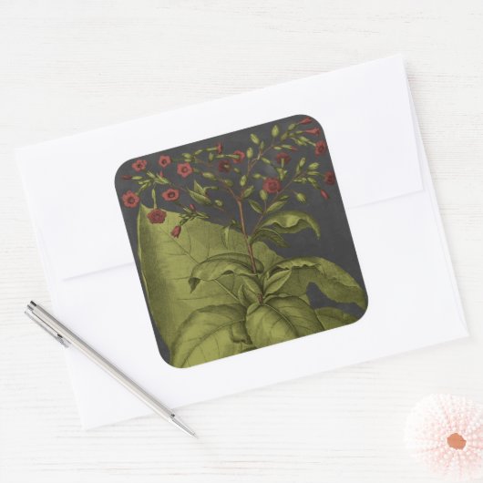 Besler Dramatique I Vierkante Sticker (Envelop)