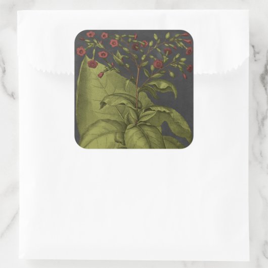 Besler Dramatique I Vierkante Sticker (Tas)