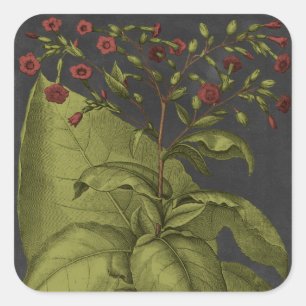 Besler Dramatique I Vierkante Sticker