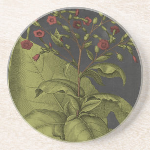 Besler Dramatique I Zandsteen Onderzetter