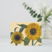 Besler: Zonnebloem Briefkaart (Staand voorkant)