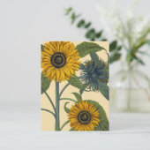 Besler: Zonnebloem Briefkaart (Staand voorkant)