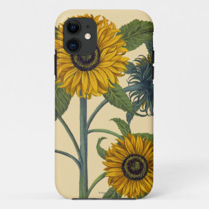 Besler: Zonnebloem Case-Mate iPhone Case