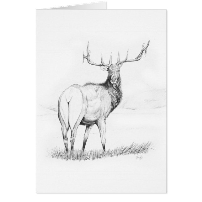 Beslissing (Voorkant)