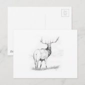 Beslissing Briefkaart (Voorkant / Achterkant)