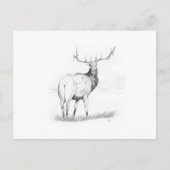 Beslissing Briefkaart (Voorkant)