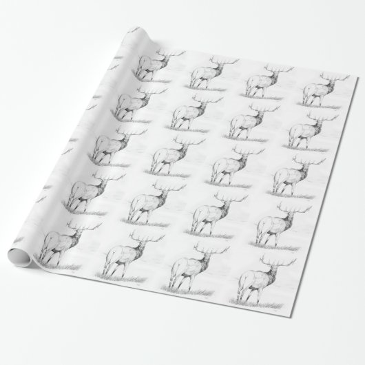 Beslissing Cadeaupapier (Uitgerold)