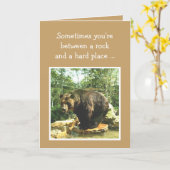 Beslissingsbesluit bij keuze aanmoedigen Beer Kaart (Gele Bloem)