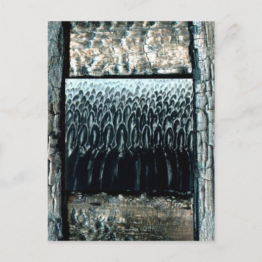 Beslissingsdag Briefkaart (Voorkant)