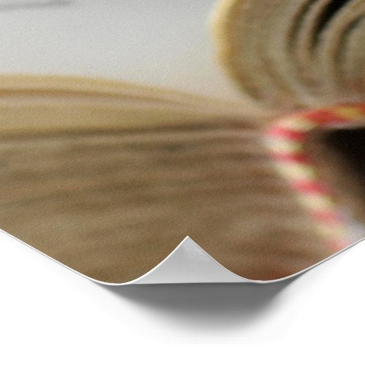 Besluit Poster (Hoek)