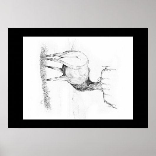 Besluiteloosheid ~ Elk Poster (Voorkant)