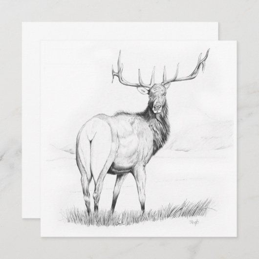 besluiteloosheid - uitnodiging van 5,25 x 5,25 inc (Voorkant / Achterkant)