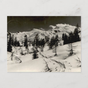 Besneeuwd bergwoud Vintage monochrome uitzicht Briefkaart
