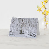 Besneeuwd Berkenboom Bladerdak Kaart (Gele Bloem)